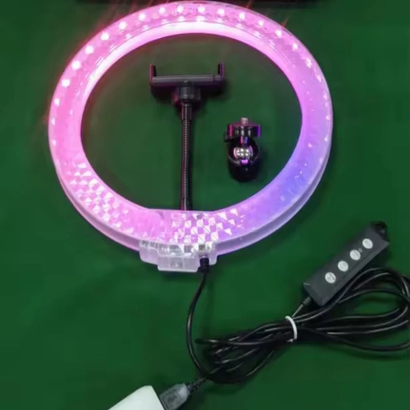 3D-30 Tiktok video Double-sided light crystal 12-inch/30CM fill ring light manufacturer photography live broadcast light